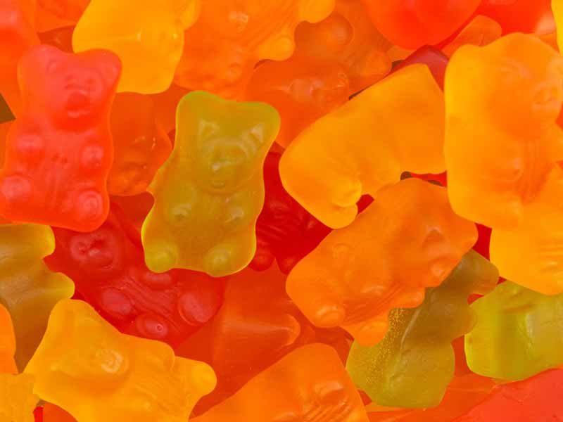 Gelatin Bears