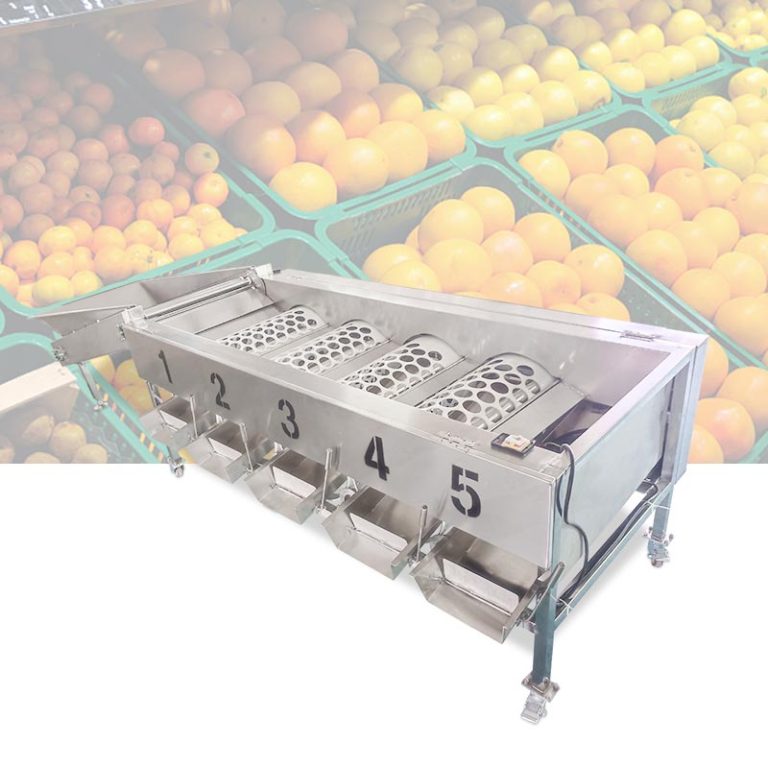 Automatic fruit sorting and grading machine for efficient processing