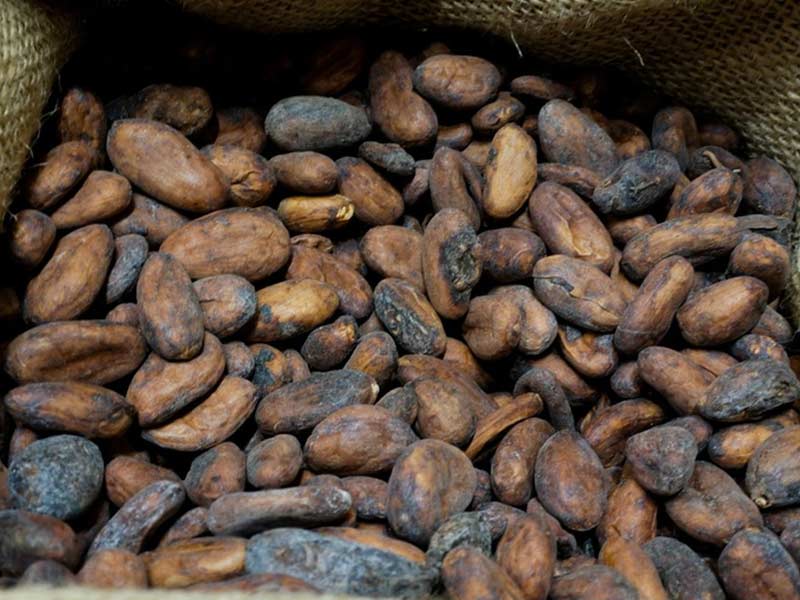 Energy - Efficient Cacao Roasting Machine for Cost - Savings