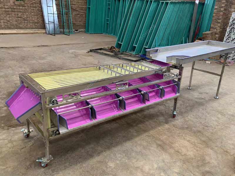 High - Capacity Blueberry Sorting Equipment for Large - Volume Harvests