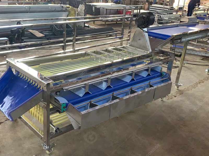 High - Resolution Fruit Sorting Equipment for Precise Sorting