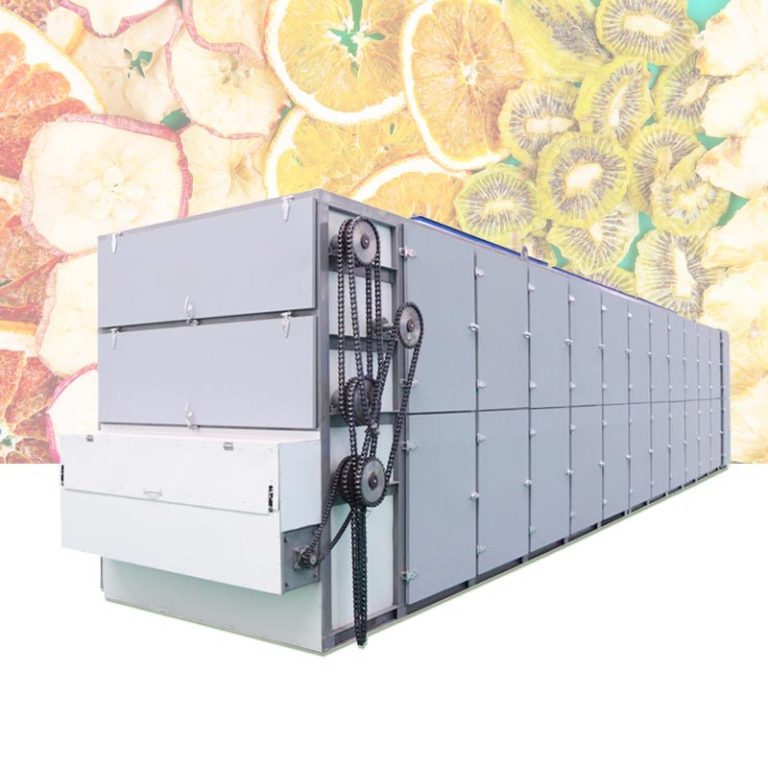 continuous mesh belt dryer for dehydration of fruits and vegetables