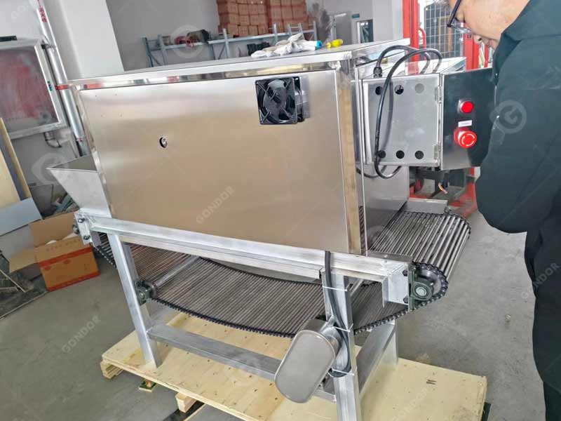 High-Efficiency Garlic Peeling Equipment for sale in Gondor Machinery