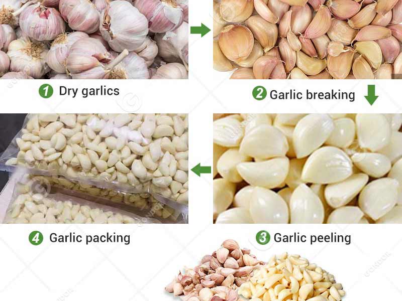 High-Speed Garlic Peeling Equipment for Food Industry