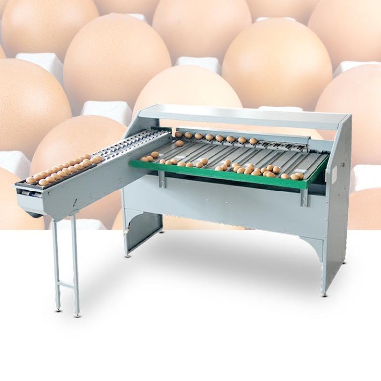 Egg grading system with automated size and quality sorting