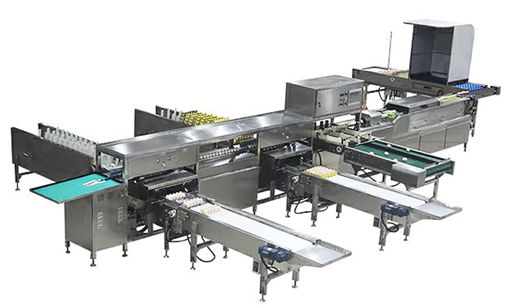 Industrial automatic egg grading machine with high technology