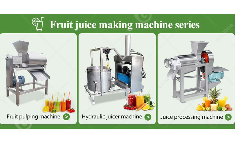 Fruit pulp machine for fruit puree