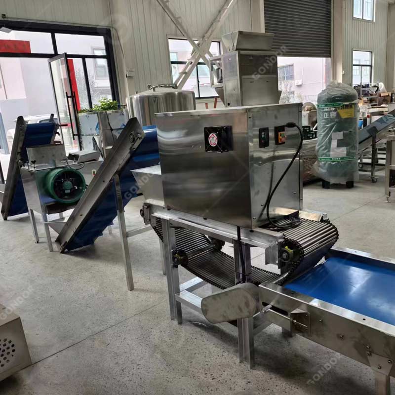 Garlic pureeing machine for making garlic paste