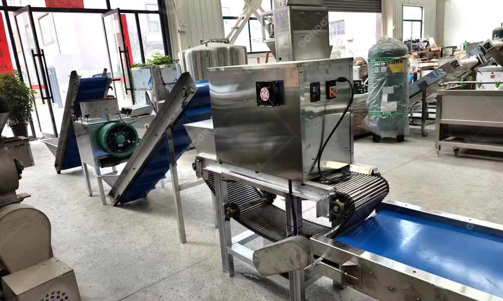 Garlic peeling machinery exporters to Mexico