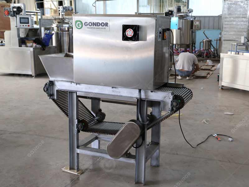 Garlic peeling line equipment suppliers Mexico