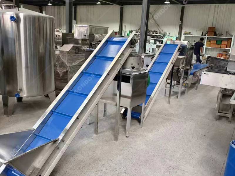 Custom - built garlic processing line for unique garlic processing requirements