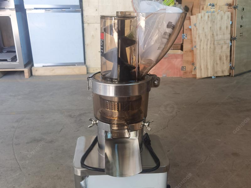 Stainless Steel Fruit and Vegetable Pulper for Long - Term Durability