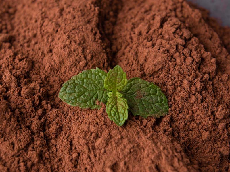 Advanced cocoa powder manufacturing process using modern technology