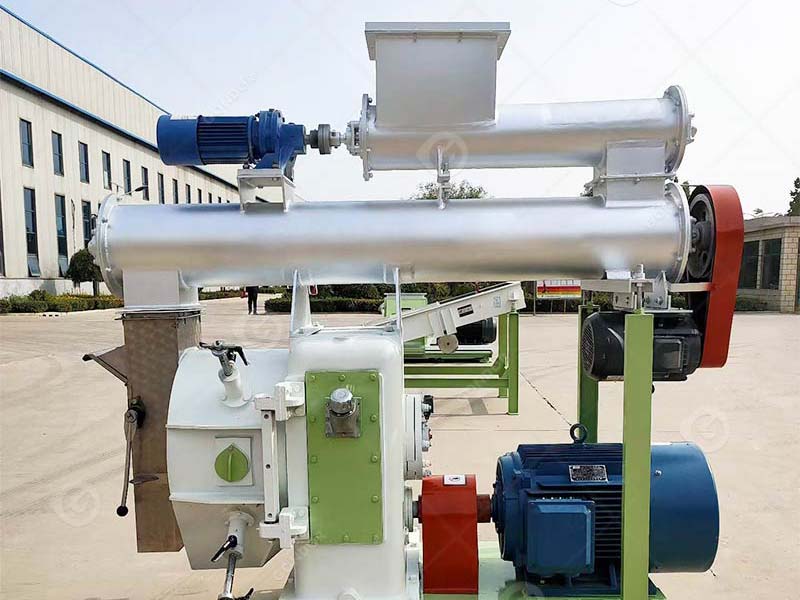 Heavy-duty ring die pellet machine for industrial feed manufacturing