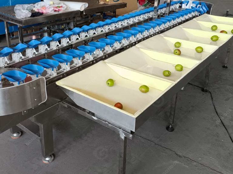 Weight Sorting Grading Machine - Gondor Machinery