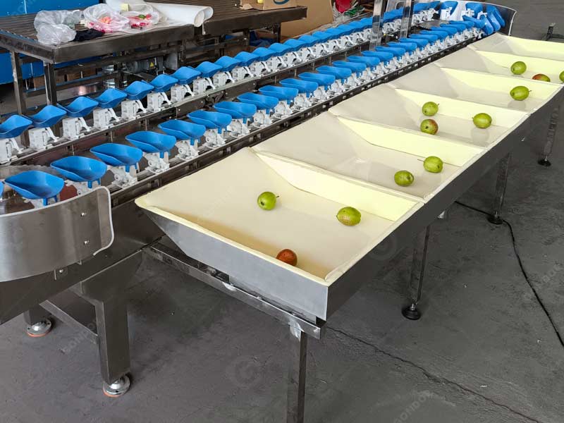 Fruit and vegetable weight grading machine for farm use