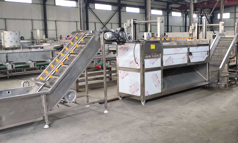 Small scale frozen french fries production line in Afghanistan