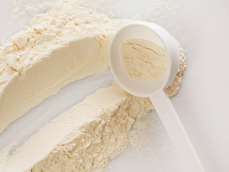 Small-scale whey protein production line for startup health supplement businesses