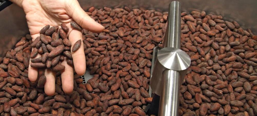 Cocoa bean cleaning