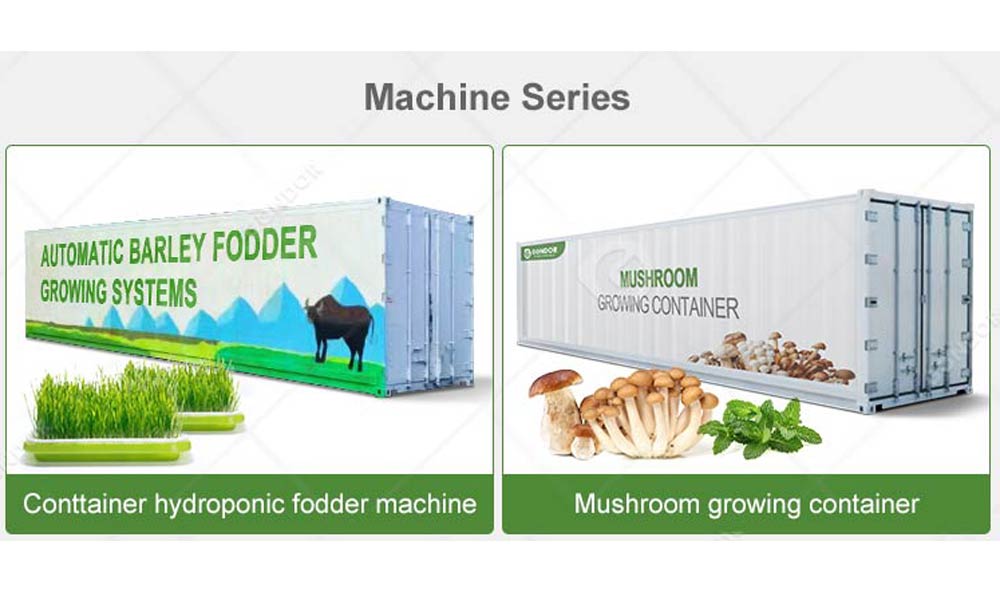 Mushroom grow container for edible mushrooms (button, portobello)