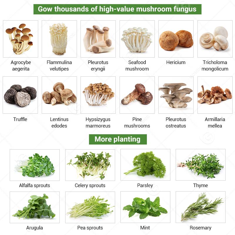 Mushroom Growing Container