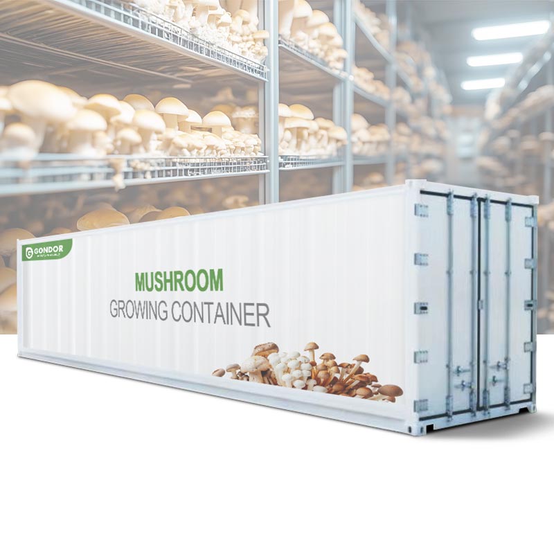 Mushroom Growing Container