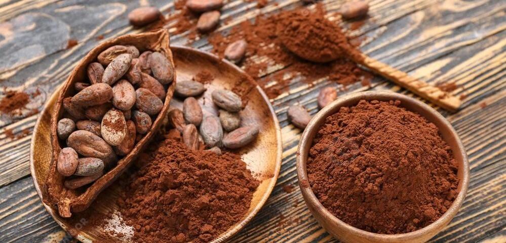 What is cocoa powder