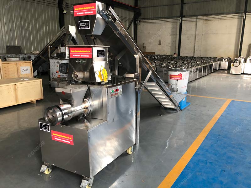 Affordable short cut pasta production line for small-scale food businesses