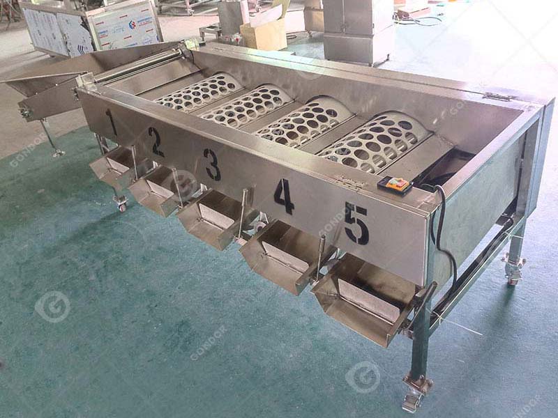 Drum Fruit Sorting Machine 5 Drum Type