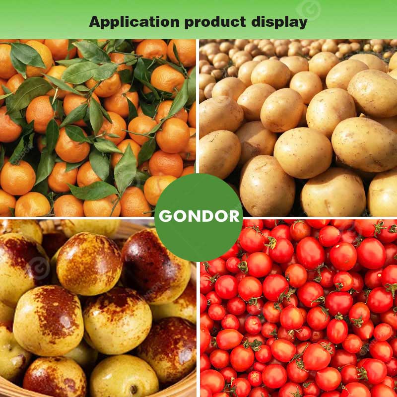 Drum Fruit Sorting Machine