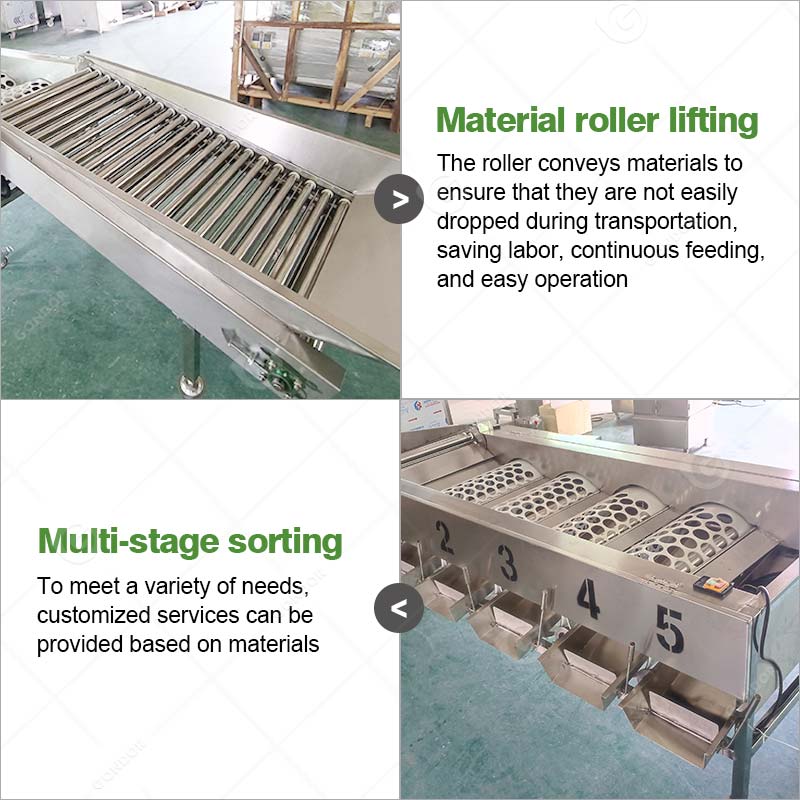 Drum Fruit Sorting Machine