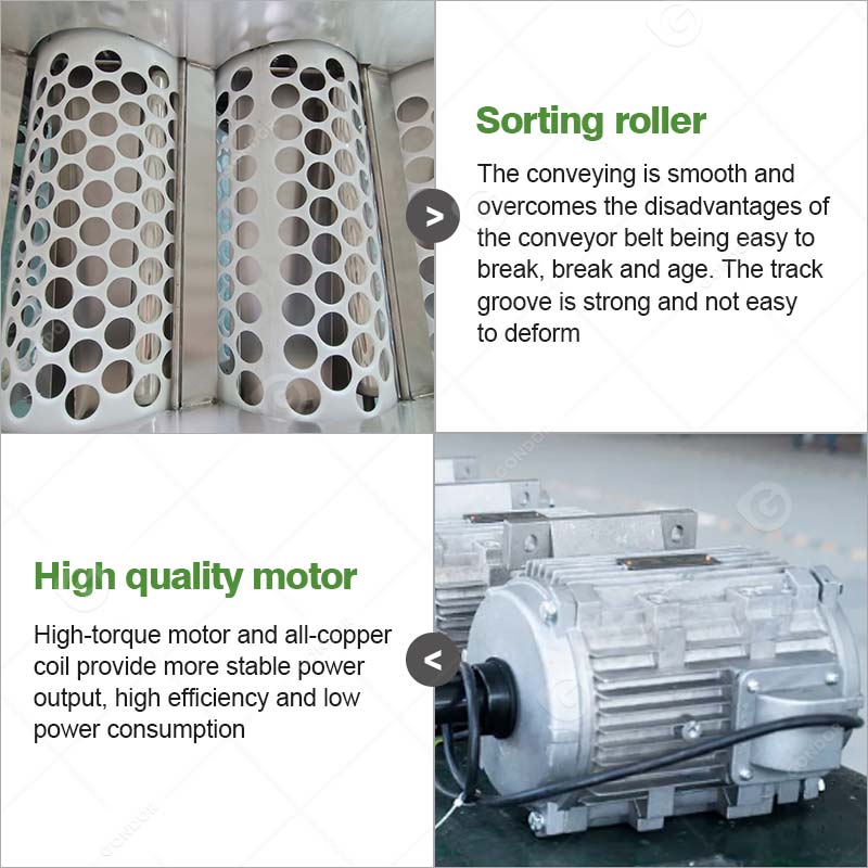 Drum Fruit Sorting Machine