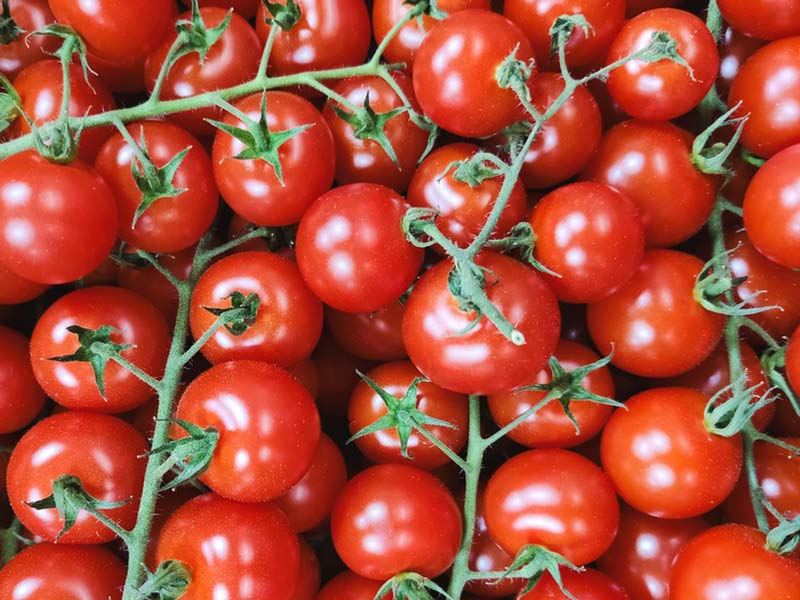 Drum Fruit Sorting Machine For Cherry Tomatoes