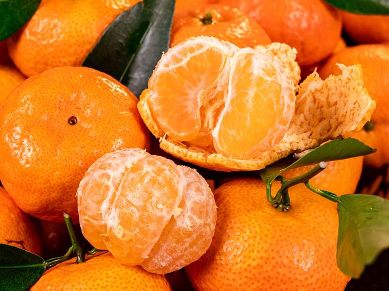Drum Fruit Sorting Machine For Oranges