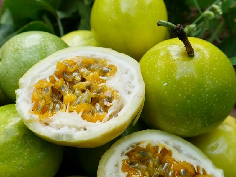 Drum Fruit Sorting Machine For Passion Fruit