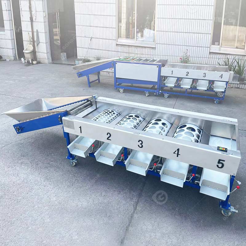 Drum Fruit Sorting Machine