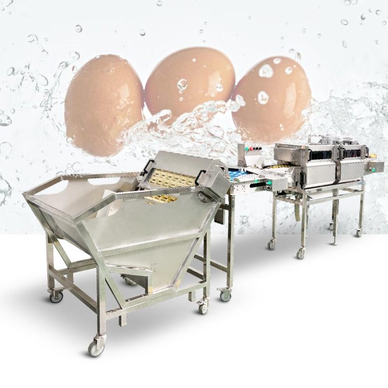 Egg Washing Production Line