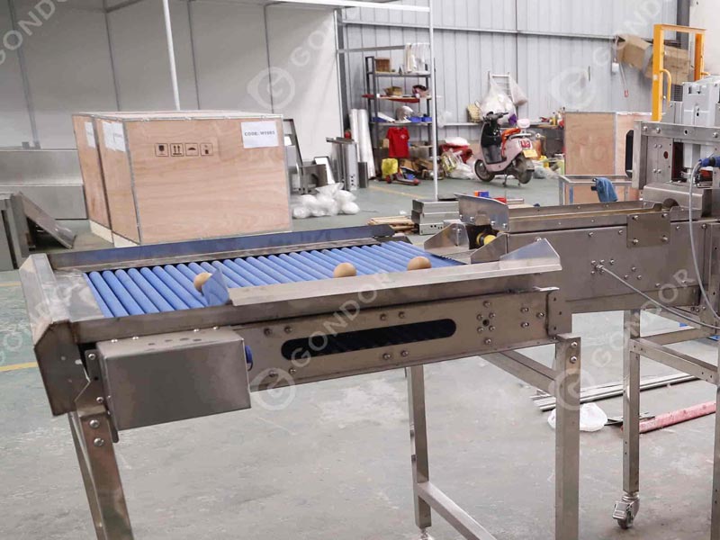 Egg Washing Production Line Conveying Device