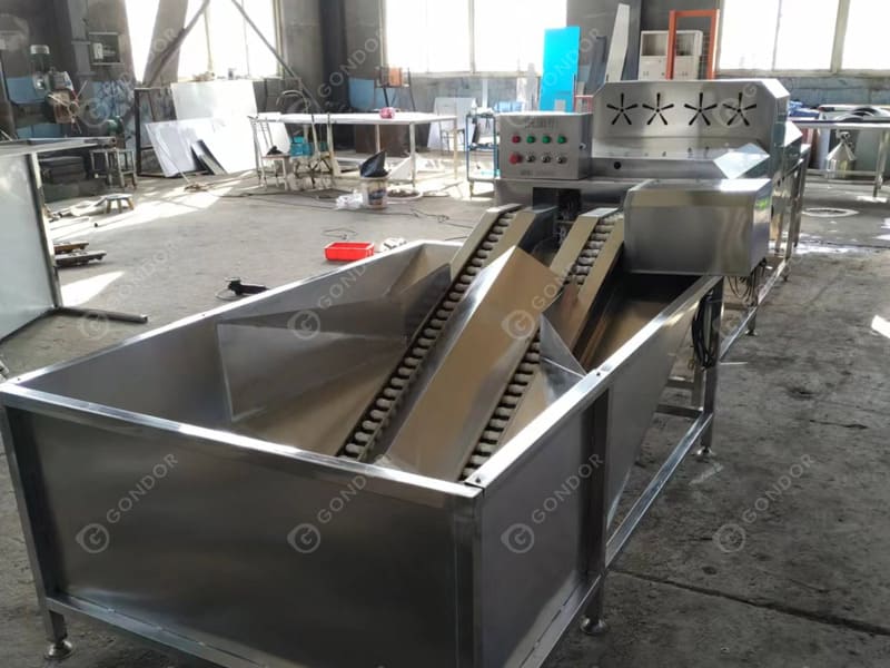 Egg Washing Production Line Double rows Live Shot