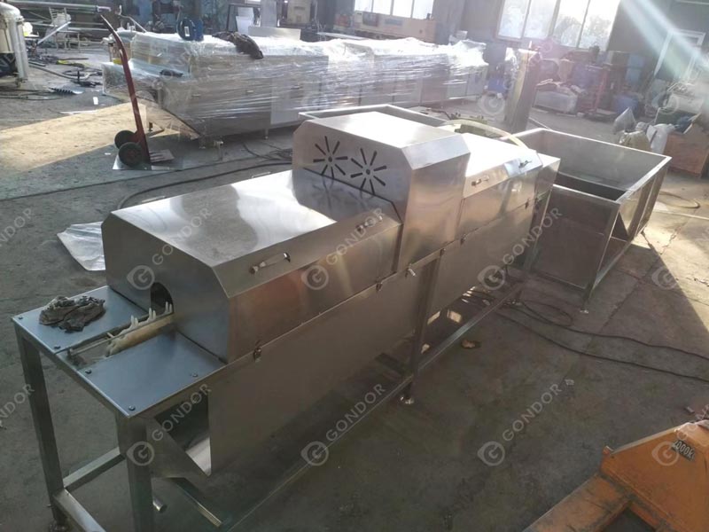 Egg Washing Production Line Single-row Live Shot