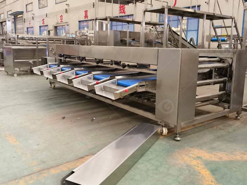 Roll sorting machine with adjustable speed for precise sorting