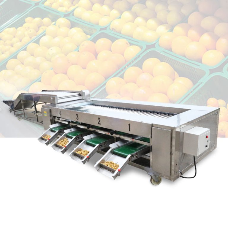 Roller Sorting Machine