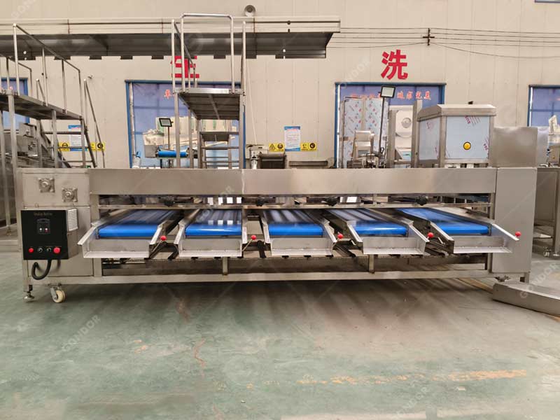 High-efficiency roll sorting machine for bulk material processing