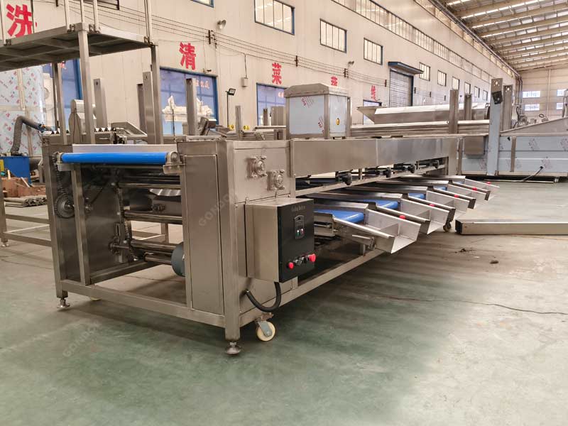 Commercial roller sorter machine for agricultural product grading