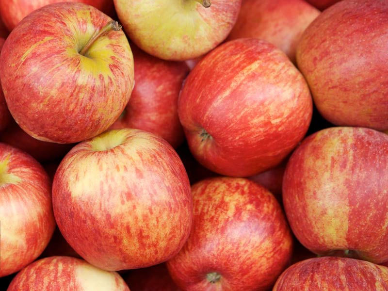 Brush Roller Cleaning Machine For Apples