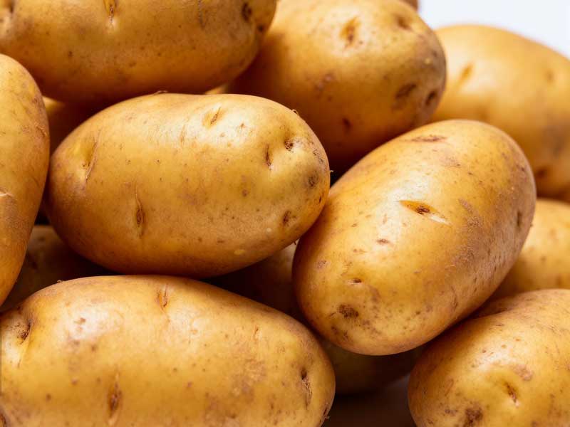 Brush Roller Cleaning Machine For Potatoes