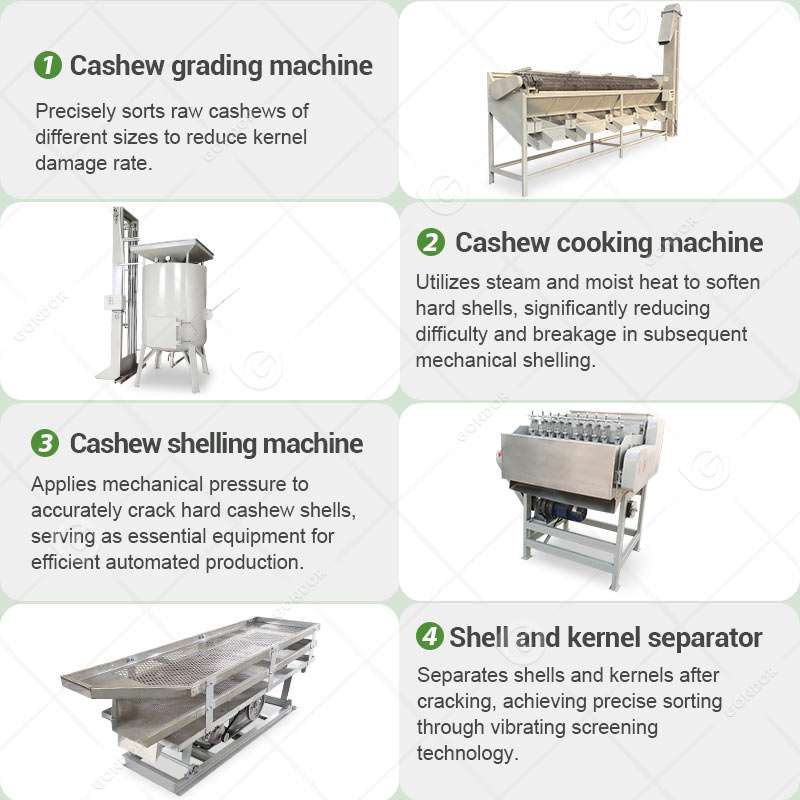 Cashew Nut Processing Line