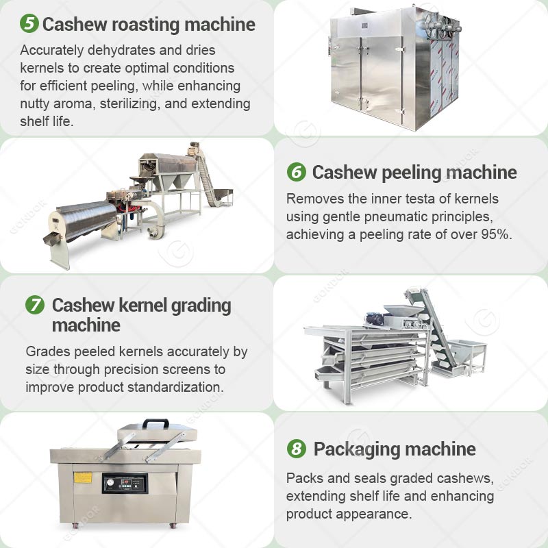 Cashew Nut Processing Line