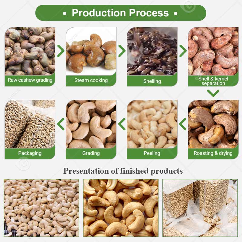 Cashew Nut Processing Line
