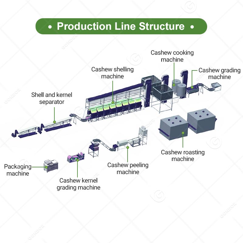 Cashew Nut Processing Line